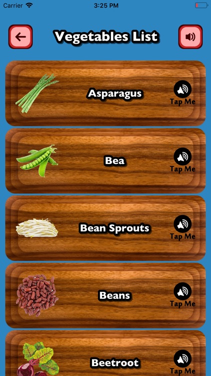 Guess Vegetable Flower English screenshot-8