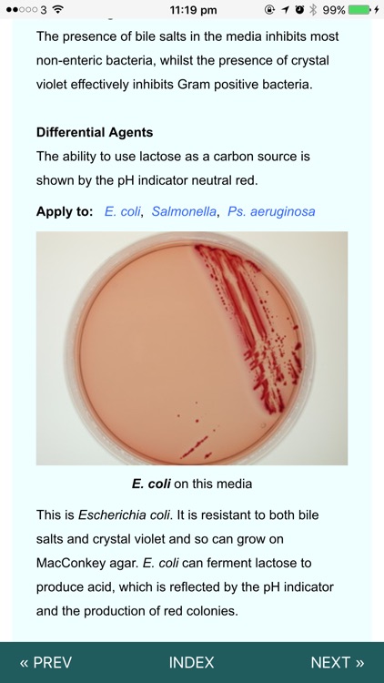 Microbiology Lab Techniques screenshot-3