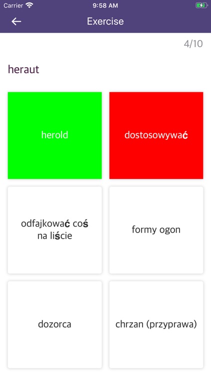 Dutch Polish Dictionary screenshot-3