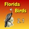 Another app in our Florida Wildlife series