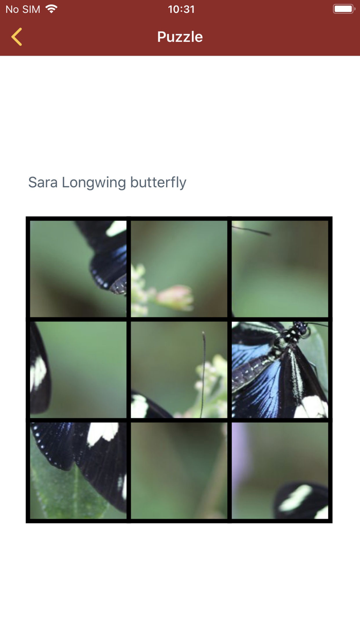 Middleton Paradise Regained