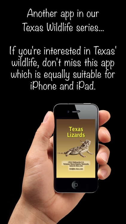 Texas Lizards