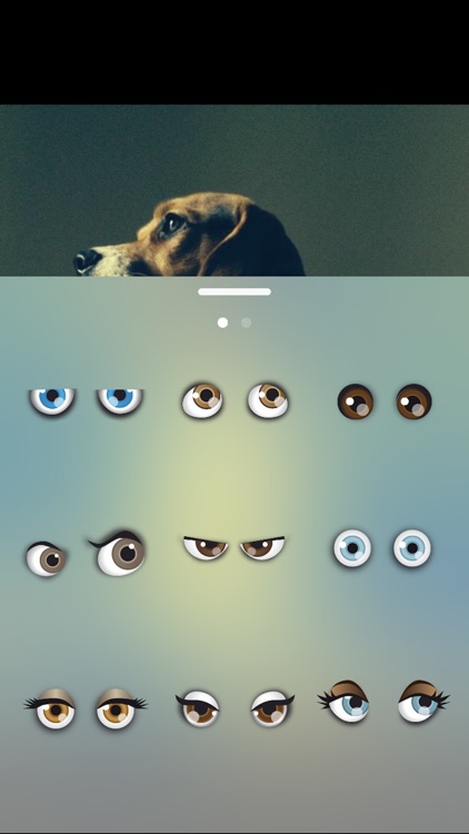 Bauwow The Pet Social Network screenshot-9