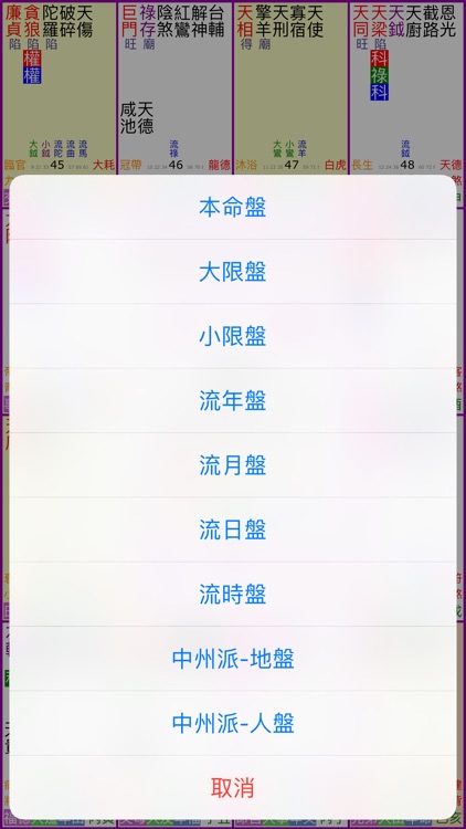 紫微斗數排盤 screenshot-4