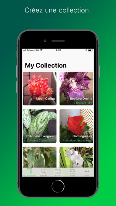 PlantSnap: Fleurs et arbres PlantSnap: Fleurs et arbres