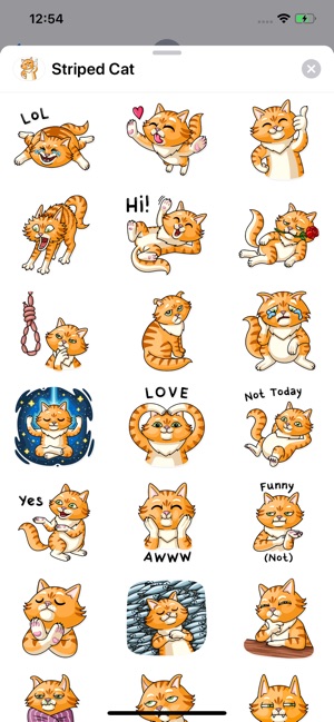 Striped Cat Sticker Pack