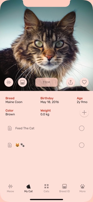 Cat App - Meowly Cats(圖2)-速報App