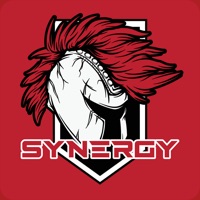 Synergy Fitness Center PC 용