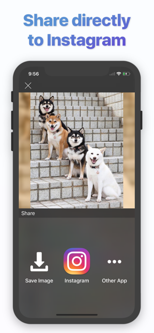 Blur for Instagram(圖2)-速報App