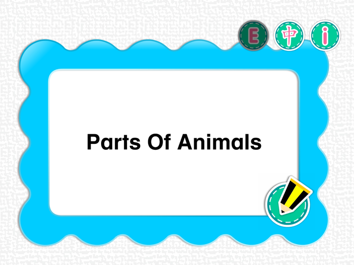 PicDic - Animals Eng-Chinese