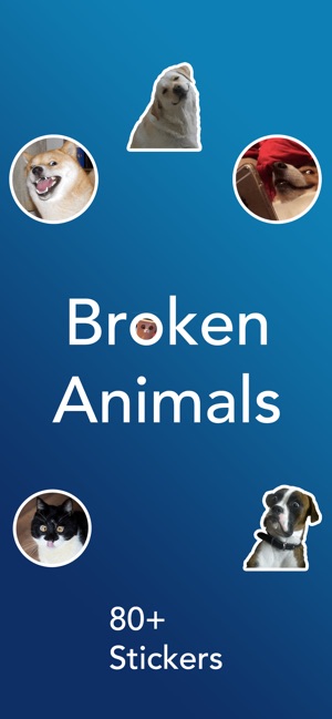 Broken Animals