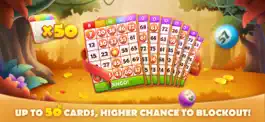 Game screenshot Bingo Land apk