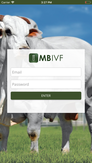 MBIVF screenshot 2