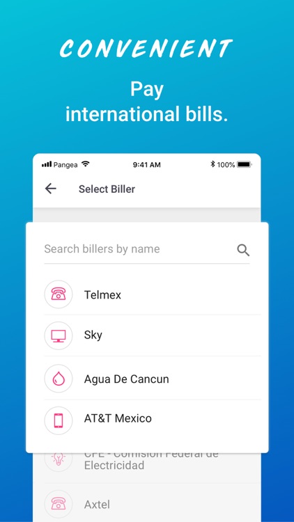 Pangea Money Transfer screenshot-3