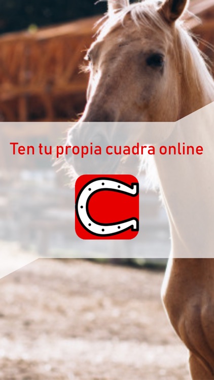 CUADRA: your horse box online