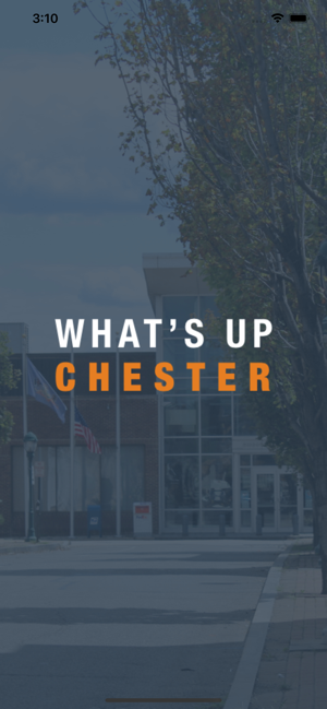 What's Up Chester