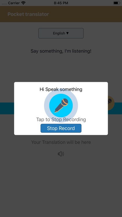 Pocket translator screenshot-3