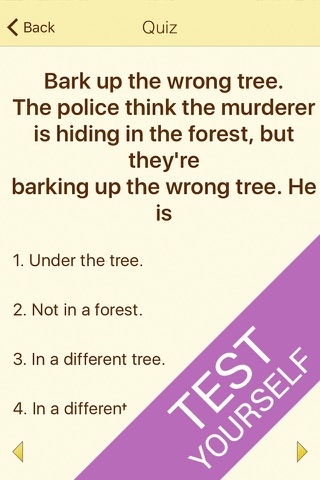 English Idioms Dictionary - náhled