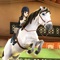 Begin your journey from lowly stable hand to dressage super star
