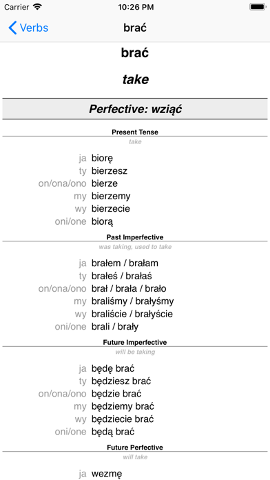 Polish Verb Blitz screenshot 3