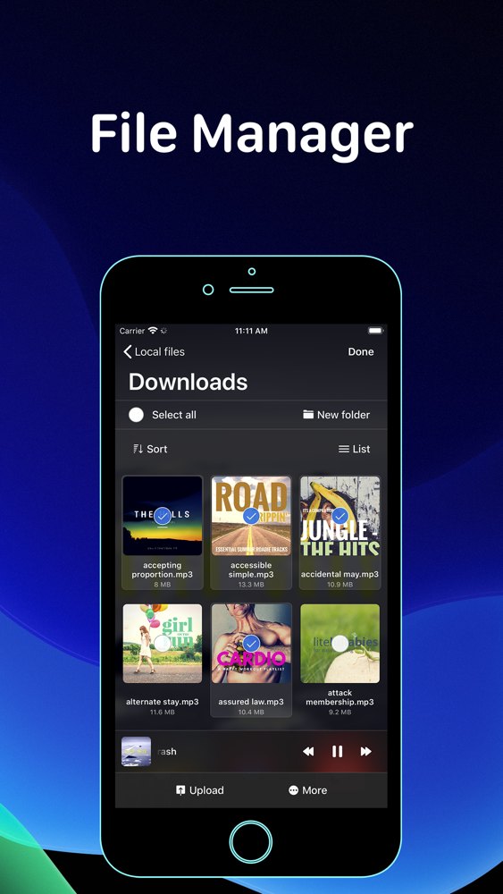 Evermusic offline music player App for iPhone Free Download Evermusic