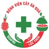 Bệnh viện cây ăn quả