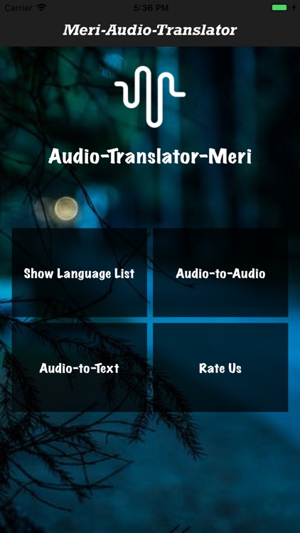 AudioTranslatorMeri