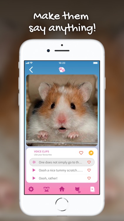 My Talking Pet Pro