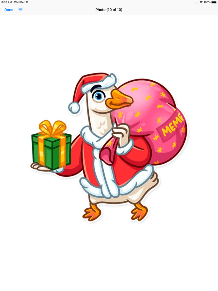 Christmas Goose New Year