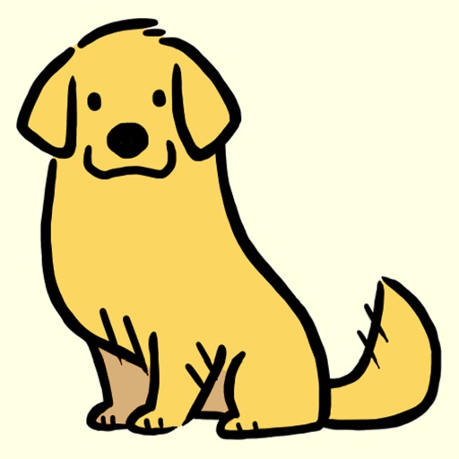 Sunny The Golden Retriever By Matt Tsai