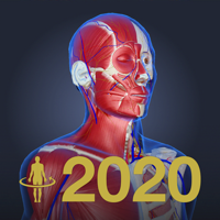 3D人体解剖学 teamLabBody2020