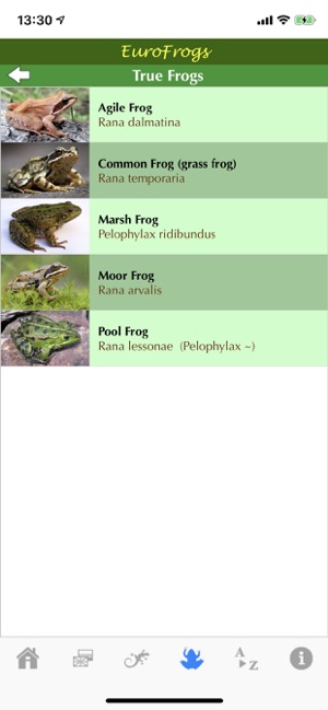 EuroFrogs(圖7)-速報App