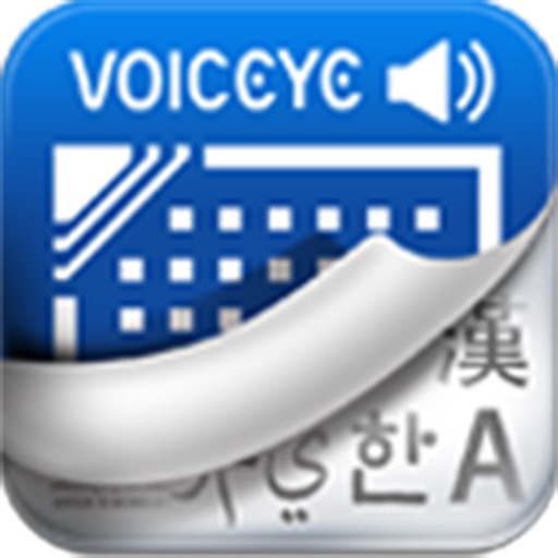 VOICEYE