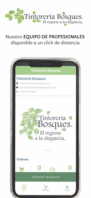 Tintoreria Bosques