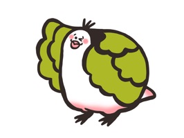 Fresh Cabbage Bird