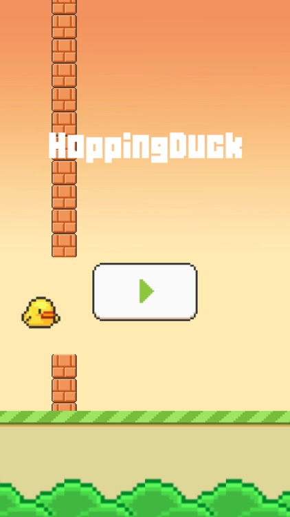 Hopping Duck