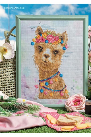 CrossStitcher - náhled