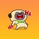 Cool Dog Animated Stickers