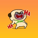 Cool Dog Animated Stickers