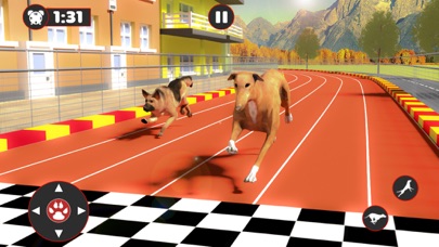 Greyhound Dog Racing Derby screenshot 4