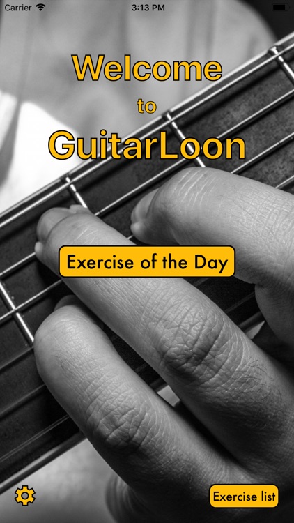 GuitarLoon