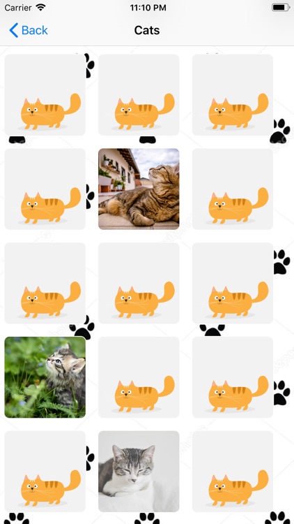 Catorizer screenshot-4