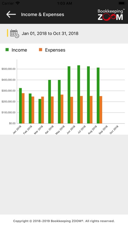 Bookkeeping ZOOM™ screenshot-3