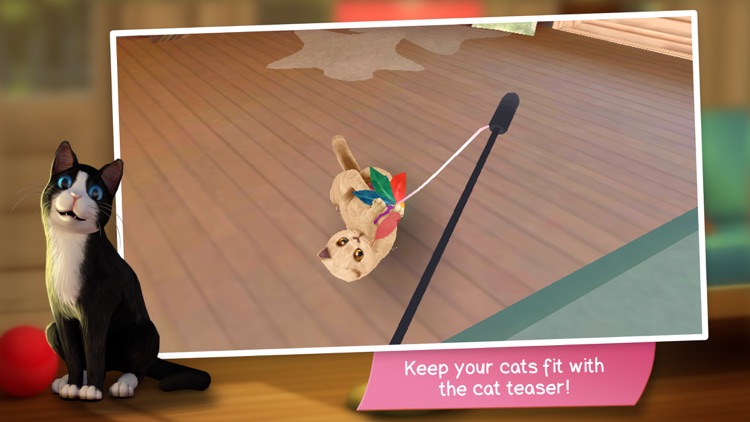 CatHotel - Care for cute cats screenshot-5