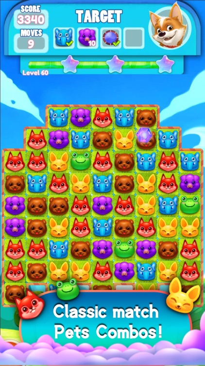 Pet Crush Saga-Block Puzzle