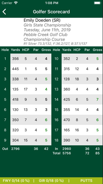 HI HS Golf screenshot-4