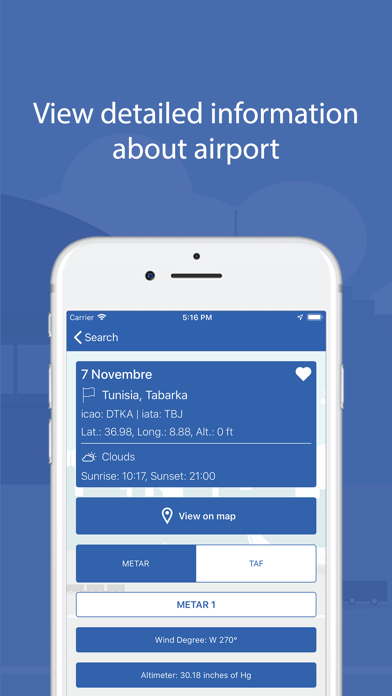 Aviation: Airport's Overview screenshot 2