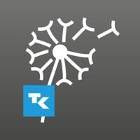 Kontakt Husteblume
