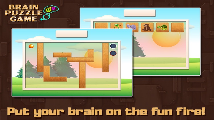 Brain Puzzles Game