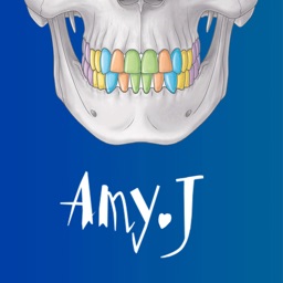 Human Anatomy -Anatomical term